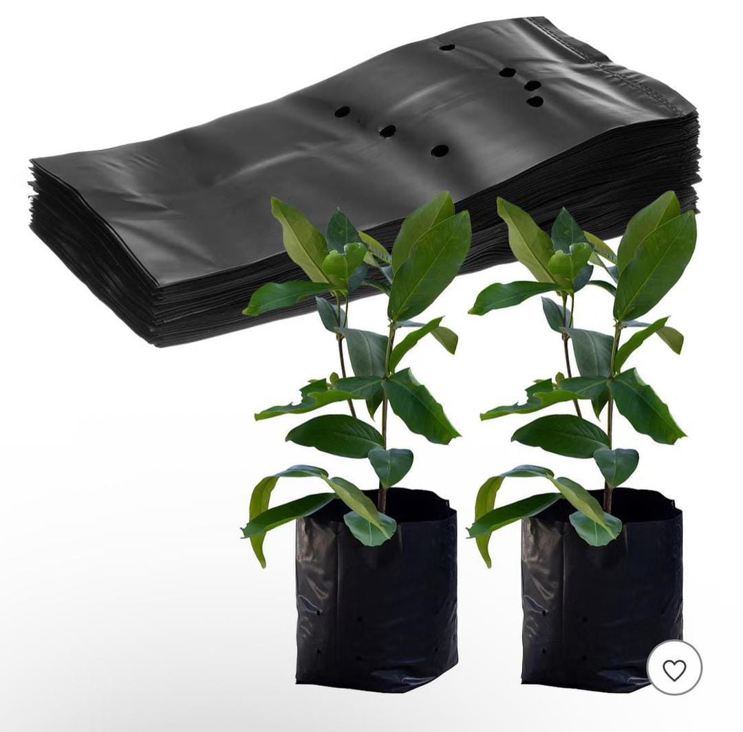NURSERY POLY  BAGS