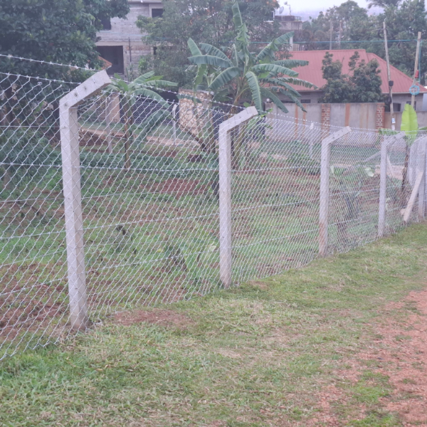 Razor and Wire Mesh Installation