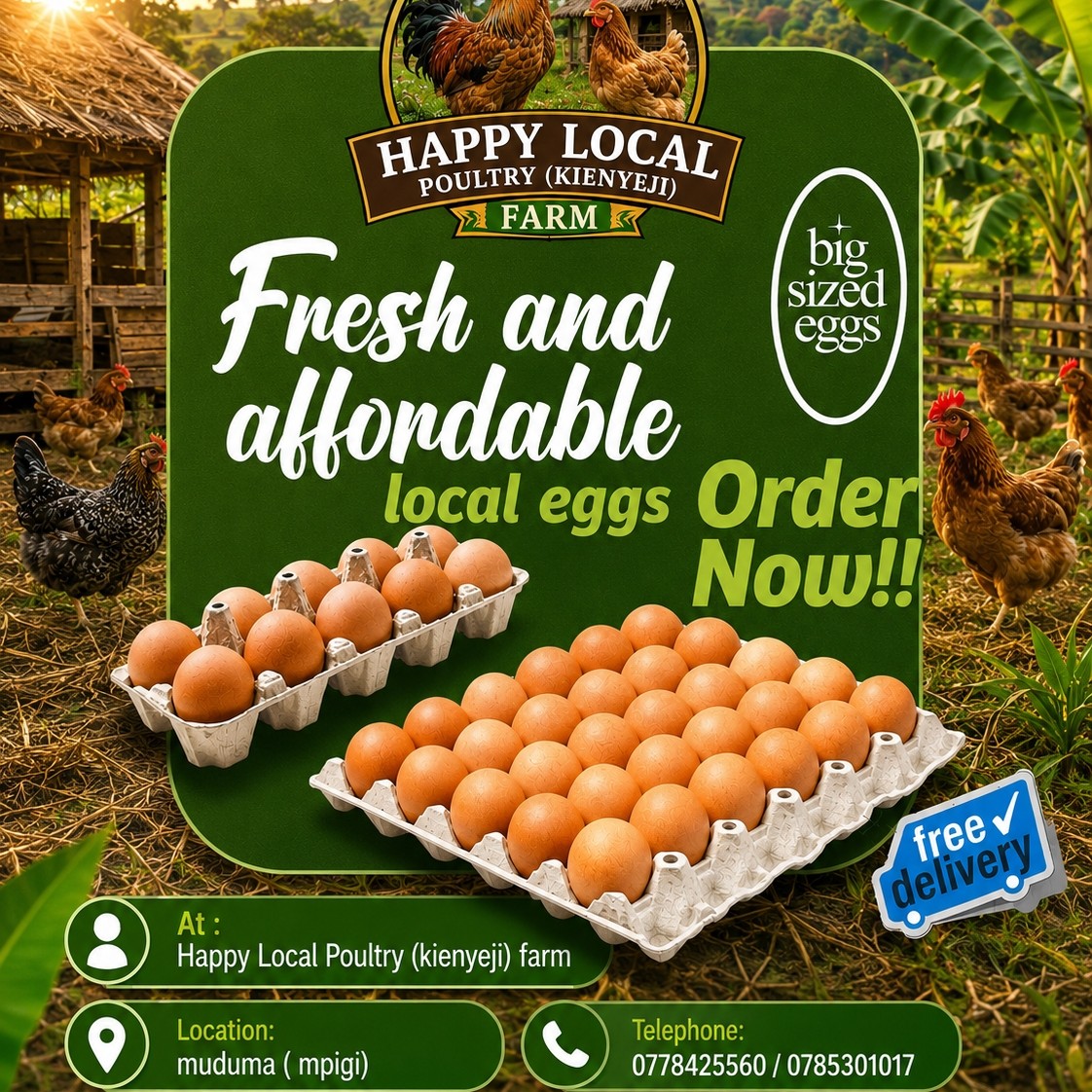 fresh local poultry eggs available tray at 30000 at happy local poultry farm muduma