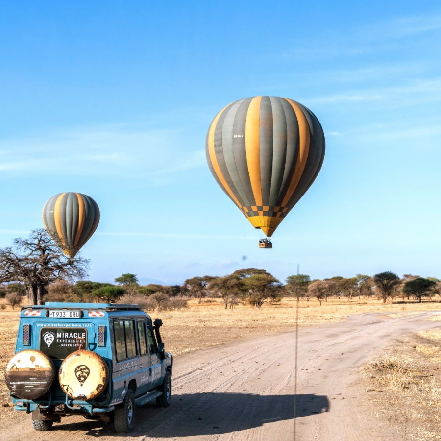 Travel Logistics Services
