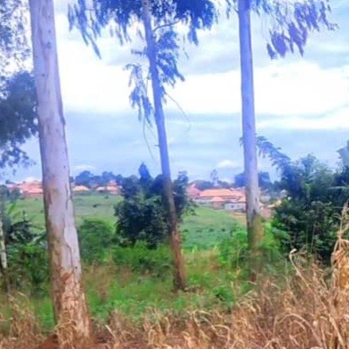 plot in nakifuuma mukono 50by 50 it's.slighty negotiable