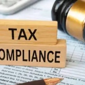 Tax Compliance: Acquire TIN, Tax Filining, Audit Readinesss etc