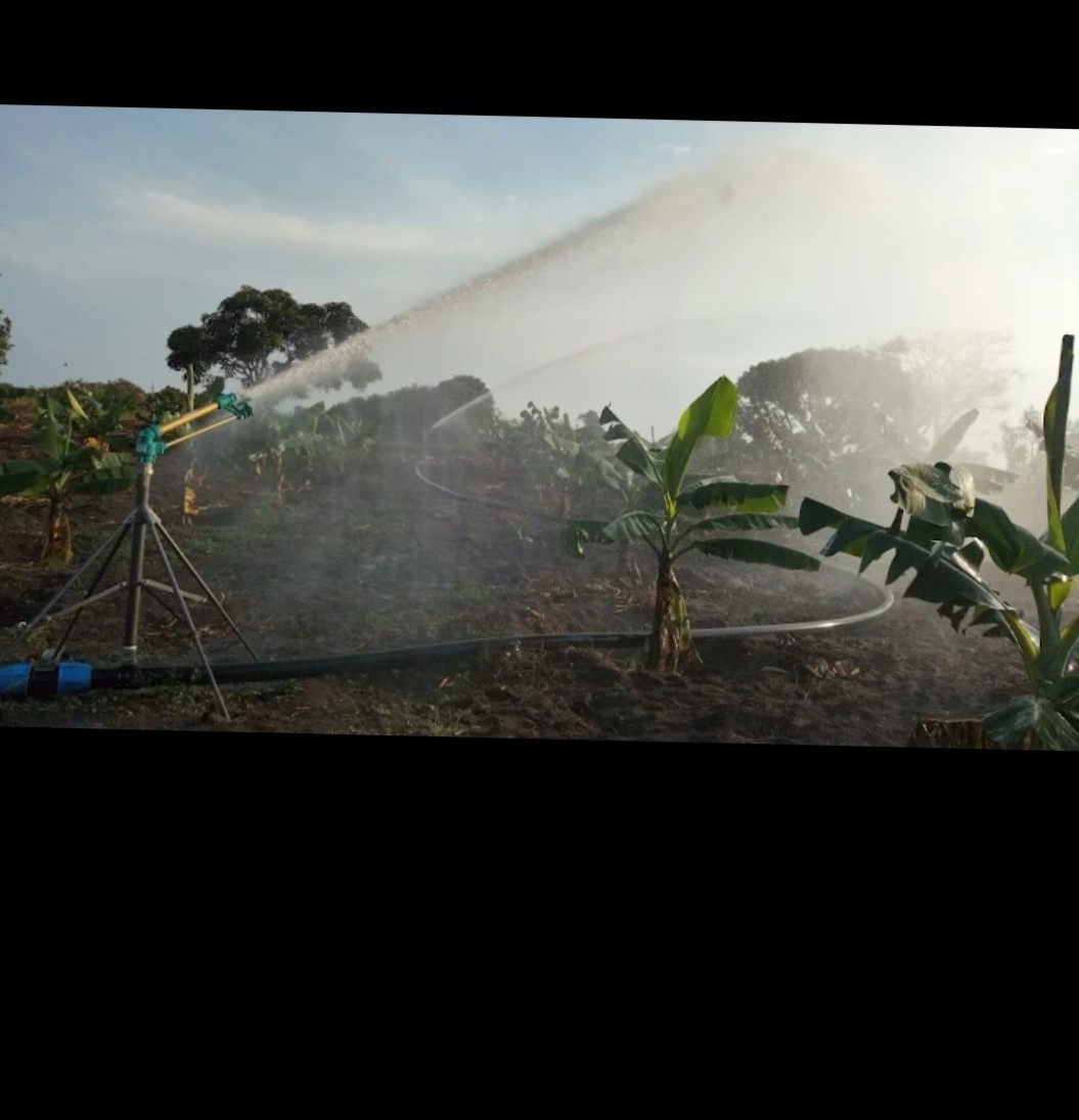 Irrigation designs & feasibility studies