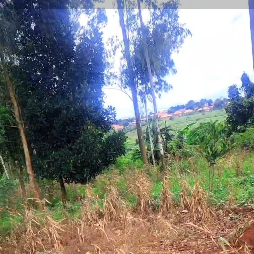 2 acres of land tittled in wakiso district with good neighbourhood.prices slightly negotiable