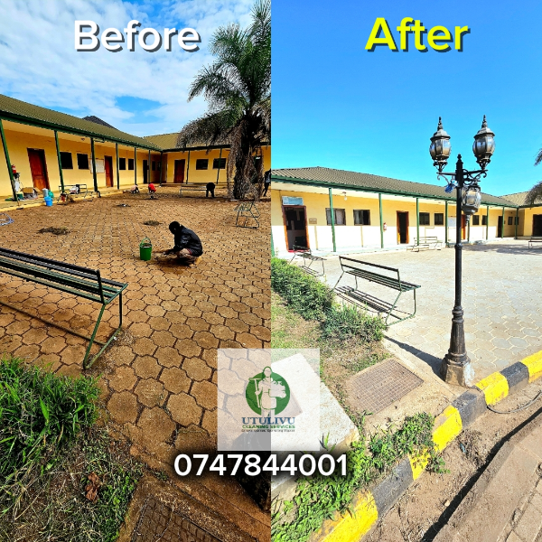 Pavers Deep Cleaning Services