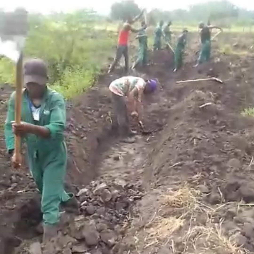 Farming Land for hire and Purchase