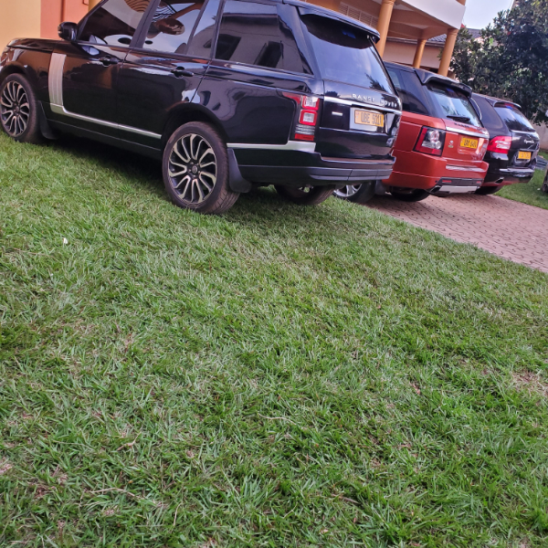 car dealer ship and property