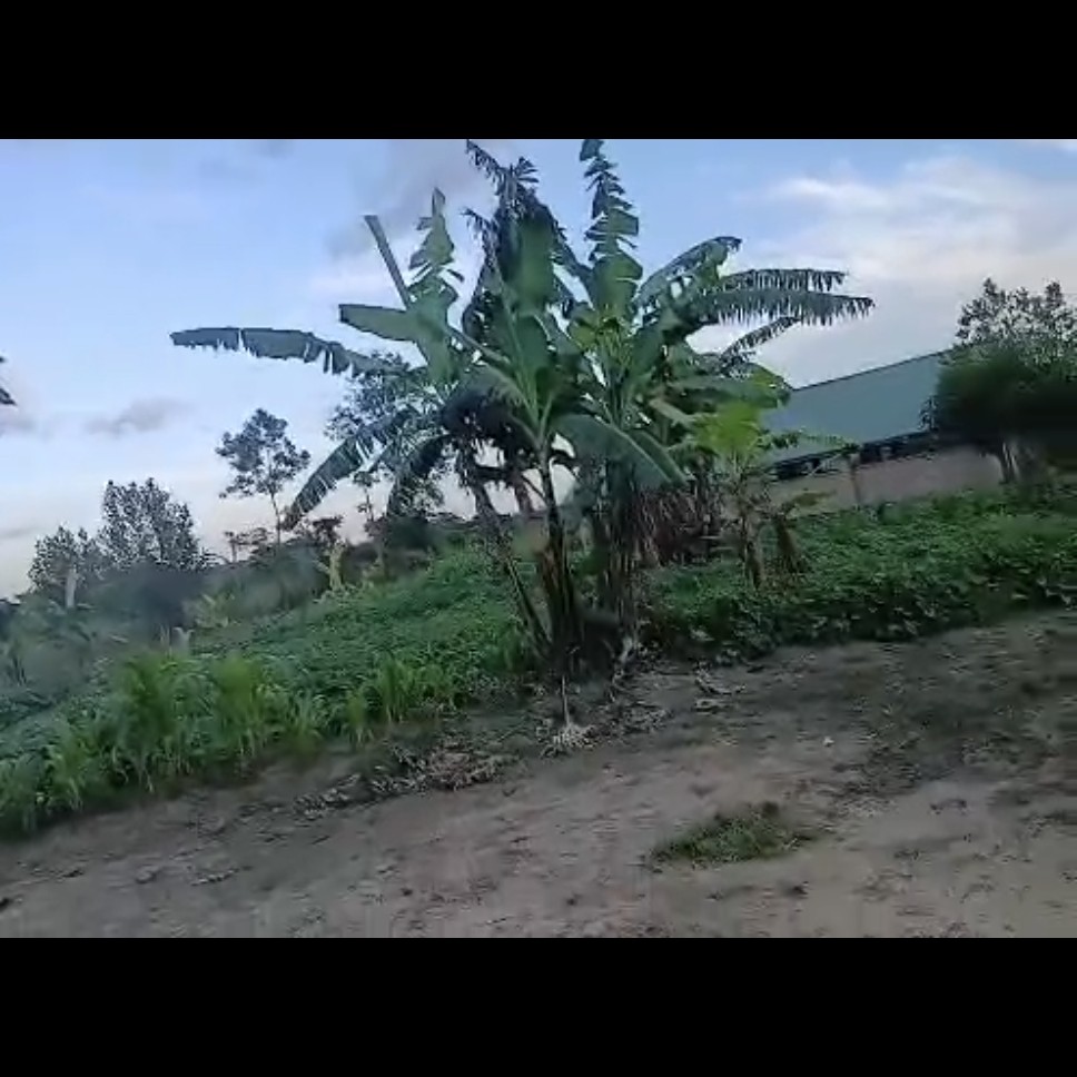 4 acres in kavule kikyusa with 4 staff quarters.
Structure which can be used for poultry or pigs.
Deep Well with a capacity of 10,000 litres a day.
Tank stand.
Solar